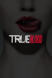 Staffel 1 Serienposter 2