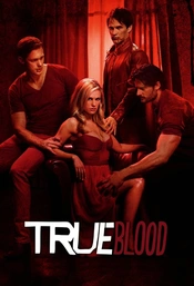 Staffel 1 Serienposter 3