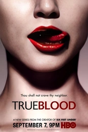 Poster 4 Staffel 1