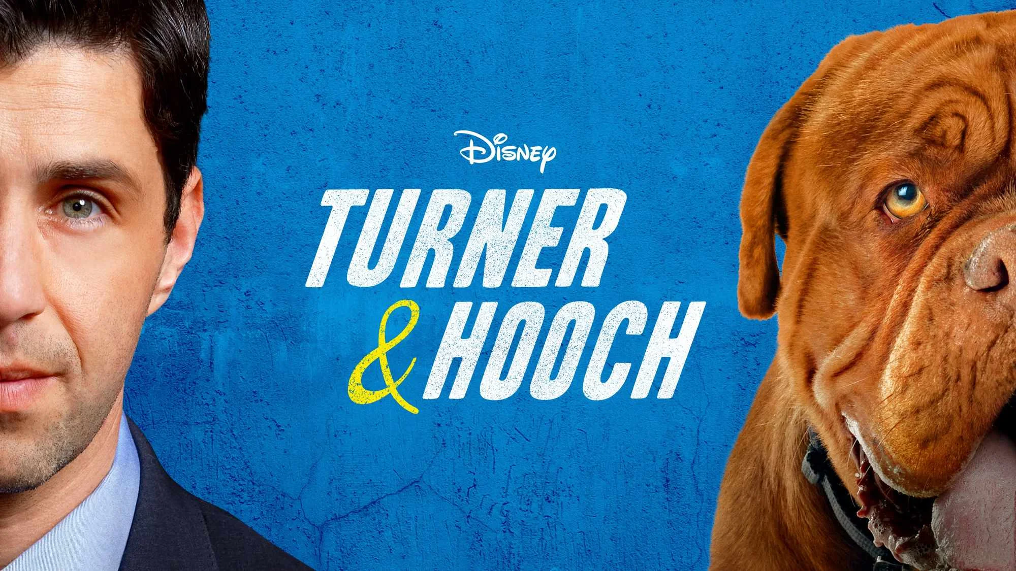 Turner & Hooch - Streams, Episodenguide und News zur Serie