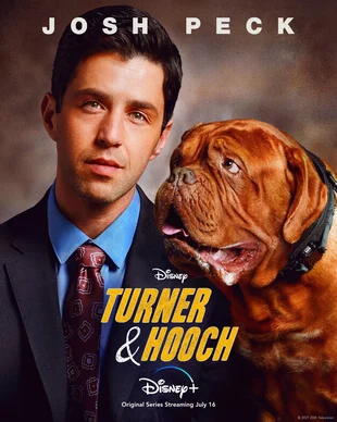 Serienposter