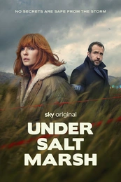 Serienposter