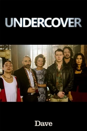 Serienposter