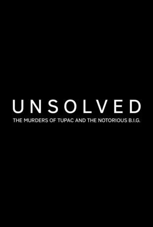 Unsolved Poster Staffel 1