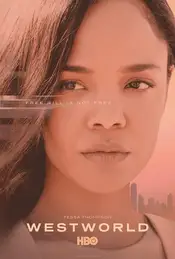 Westworld Poster 8 Staffel 3