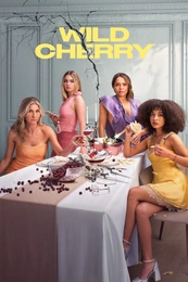 Serienposter