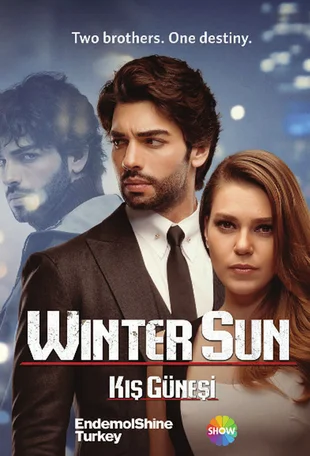Winter Sun Poster