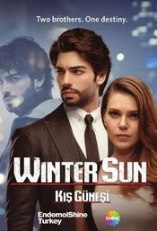 Winter Sun Poster