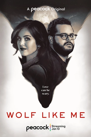 Staffel 1 Serienposter 2