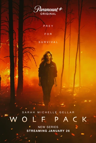 Serienposter