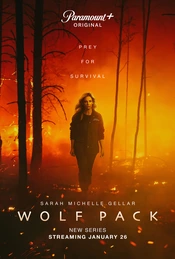 Serienposter