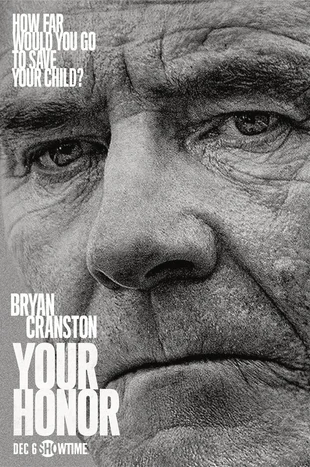 Your Honor Poster 3 Staffel 1