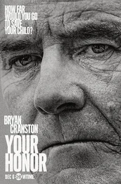 Your Honor Poster 3 Staffel 1